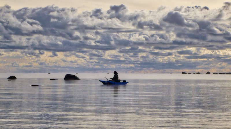 baltic gedde fiske