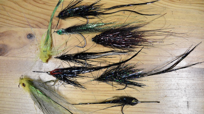 Geddefluer til Østersøen baltiv pikeflies